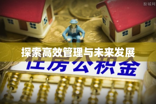 镇巴探索高效管理与未来发展
