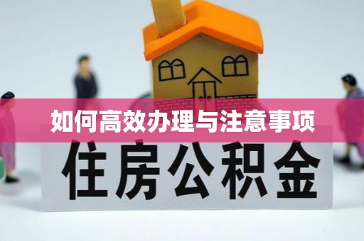 镇巴如何高效办理与注意事项