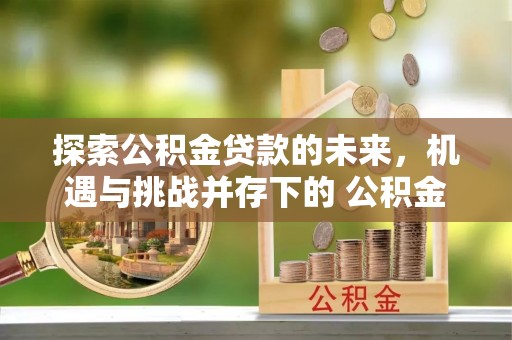 镇巴探索公积金贷款的未来，机遇与挑战并存下的 公积金贷款风险防控