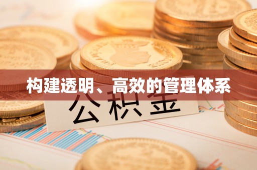 镇巴构建透明、高效的管理体系