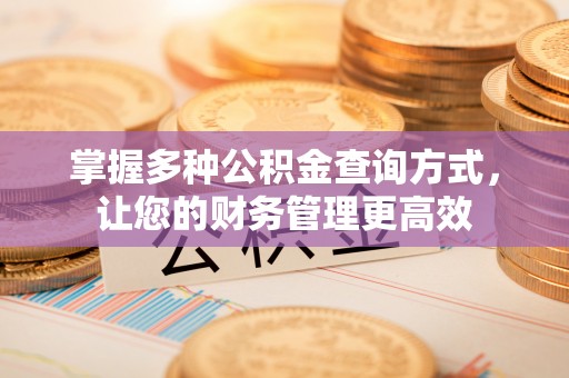 镇巴掌握多种公积金查询方式，让您的财务管理更高效
