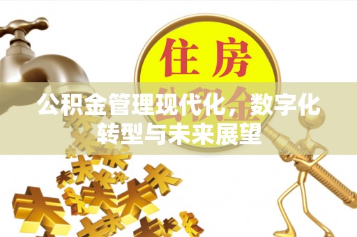 镇巴公积金管理现代化，数字化转型与未来展望