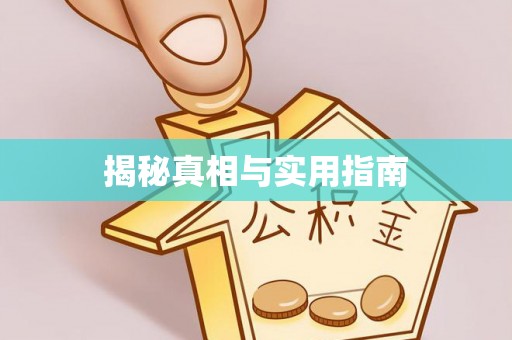 镇巴揭秘真相与实用指南
