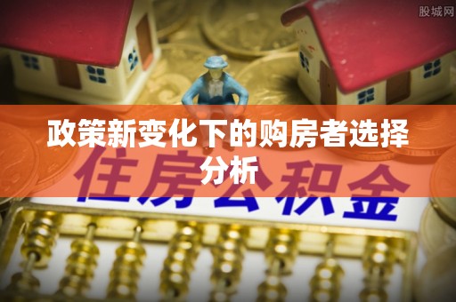 镇巴政策新变化下的购房者选择分析
