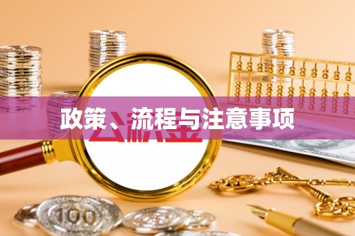 镇巴政策、流程与注意事项