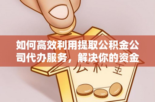 镇巴如何高效利用提取公积金公司代办服务，解决你的资金难题