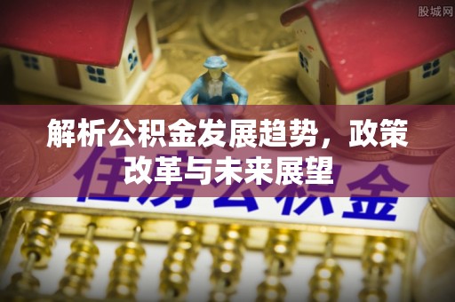 镇巴解析公积金发展趋势，政策改革与未来展望