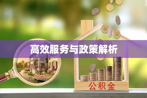 镇巴高效服务与政策解析