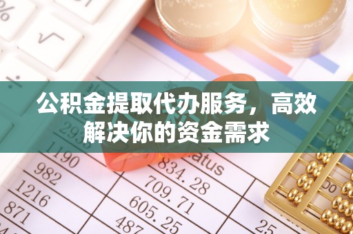 镇巴公积金提取代办服务，高效解决你的资金需求