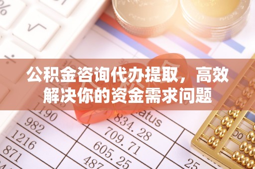 镇巴公积金咨询代办提取，高效解决你的资金需求问题
