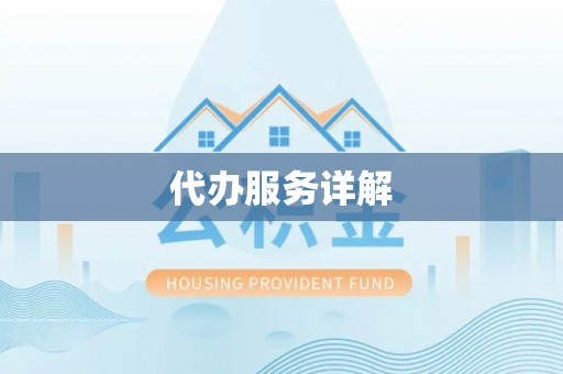 镇巴代办服务详解