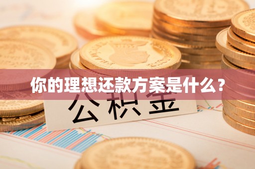 镇巴你的理想还款方案是什么？