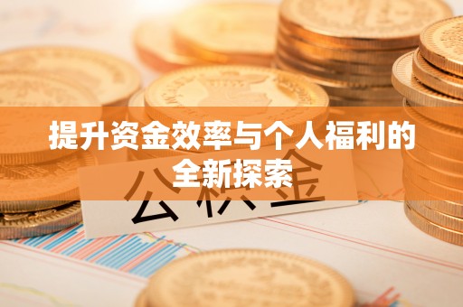 镇巴提升资金效率与个人福利的全新探索