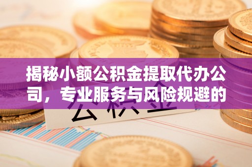 镇巴揭秘小额公积金提取代办公司，专业服务与风险规避的平衡艺术