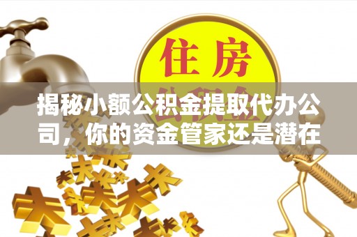 镇巴揭秘小额公积金提取代办公司，你的资金管家还是潜在风险？