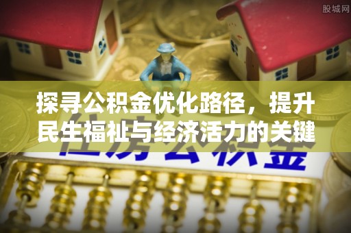 镇巴探寻公积金优化路径，提升民生福祉与经济活力的关键之举