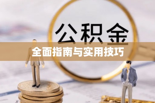 镇巴全面指南与实用技巧