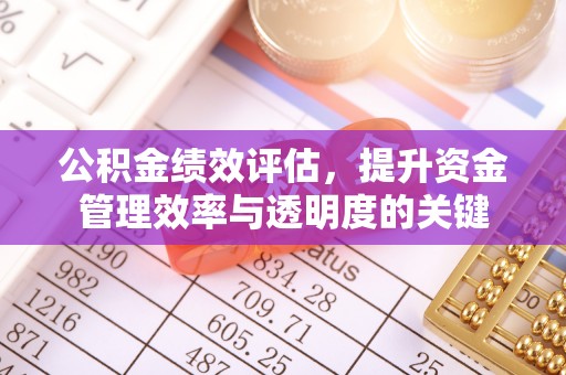 镇巴公积金绩效评估，提升资金管理效率与透明度的关键