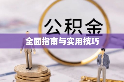 镇巴全面指南与实用技巧