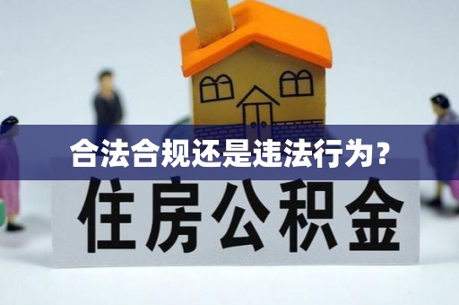 镇巴合法合规还是违法行为？