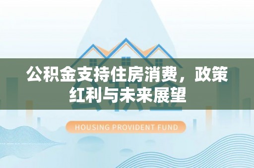 镇巴公积金支持住房消费，政策红利与未来展望