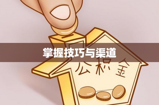 镇巴掌握技巧与渠道
