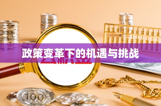镇巴政策变革下的机遇与挑战