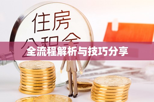镇巴全流程解析与技巧分享