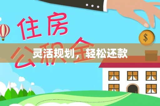 镇巴灵活规划，轻松还款