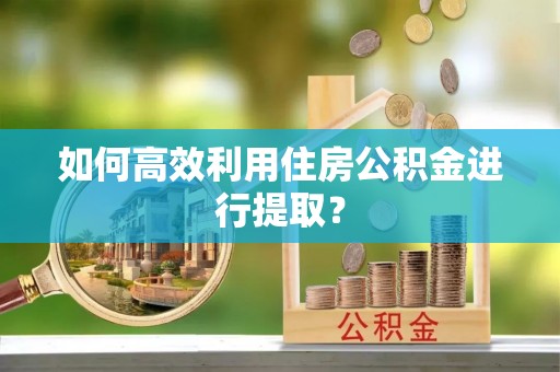 镇巴如何高效利用住房公积金进行提取？