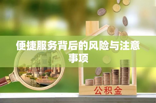 镇巴便捷服务背后的风险与注意事项