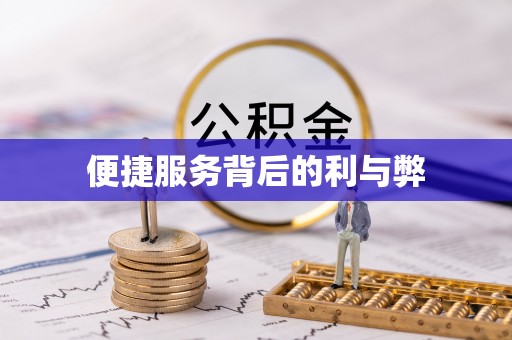 镇巴便捷服务背后的利与弊