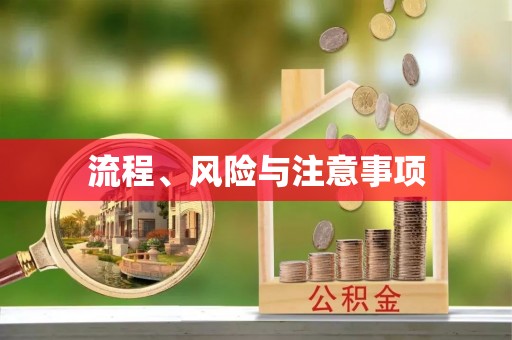 镇巴流程、风险与注意事项