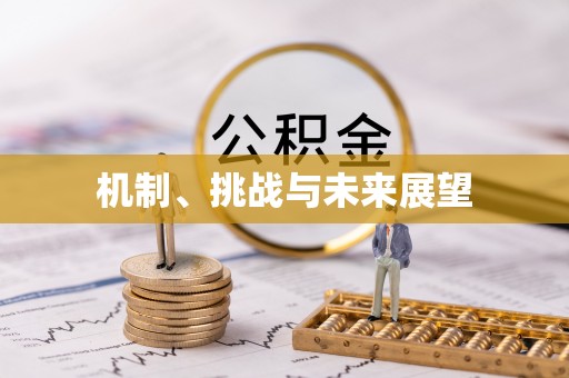 镇巴机制、挑战与未来展望